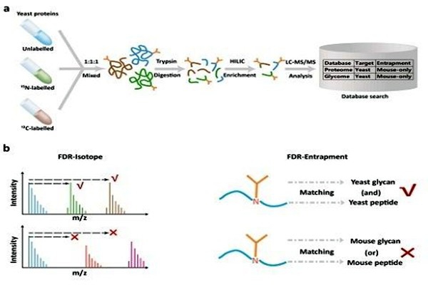 室內(nèi)環(huán)境監(jiān)測(cè)中實(shí)驗(yàn)質(zhì)控技術(shù)的運(yùn)用！