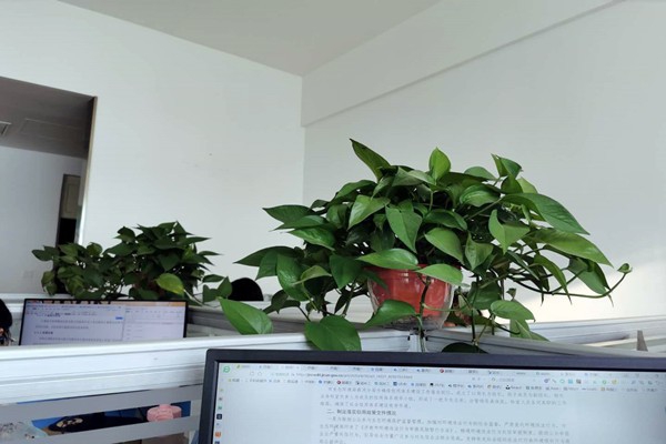 濟南市生態(tài)環(huán)境局市中分局多措并舉落實環(huán)境監(jiān)測管理辦法！