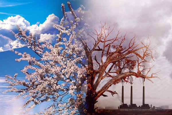 環(huán)境監(jiān)測(cè)國(guó)家標(biāo)準(zhǔn)滯后于技術(shù)應(yīng)用？