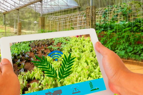 環(huán)境監(jiān)控系統(tǒng)，為農(nóng)作物生長保駕護航