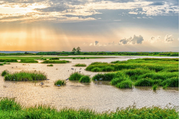山東省日照生態(tài)環(huán)境監(jiān)測中心-CMA資質(zhì)增至391項