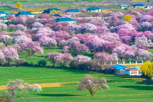 山東省打造生態(tài)環(huán)境監(jiān)測社會化服務(wù)平臺！
