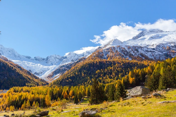 “十四五”需求升級(jí)，環(huán)境監(jiān)測(cè)企業(yè)應(yīng)如何臨機(jī)制勝？