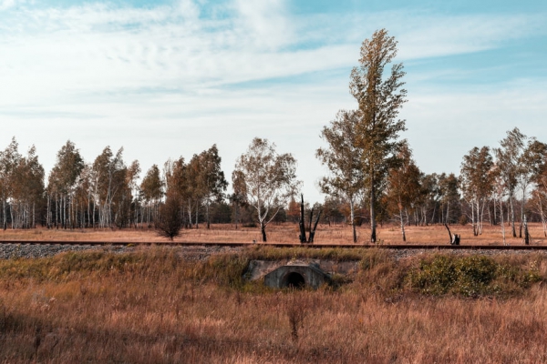 聯(lián)合國(guó)報(bào)告：氣候變化將使空氣質(zhì)量惡化 危害人類(lèi)健康