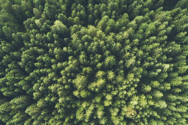 走近了解公司環(huán)境監(jiān)測(cè)系統(tǒng)！