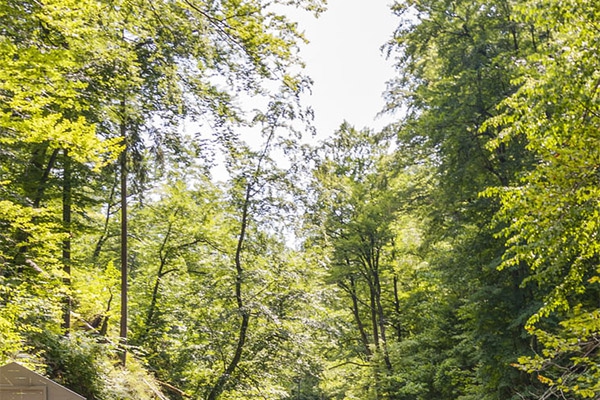 從環(huán)境監(jiān)測(cè)特點(diǎn)出發(fā)，看部署環(huán)境監(jiān)測(cè)系統(tǒng)的重要性