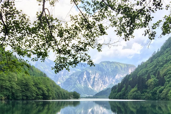 擔(dān)心室內(nèi)環(huán)境污染多，可以用什么方法進(jìn)行環(huán)境監(jiān)測(cè)？