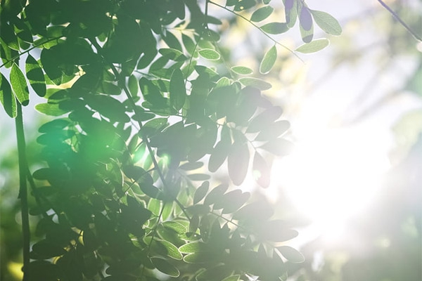 樓宇自控系統(tǒng)和環(huán)境監(jiān)測(cè)系統(tǒng)聯(lián)動(dòng)，確保辦公建筑更智能更舒適