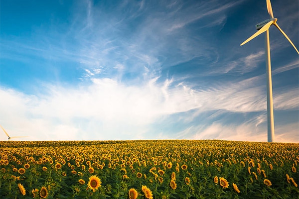 健康室內環(huán)境需要監(jiān)測的參數(shù)和要求?