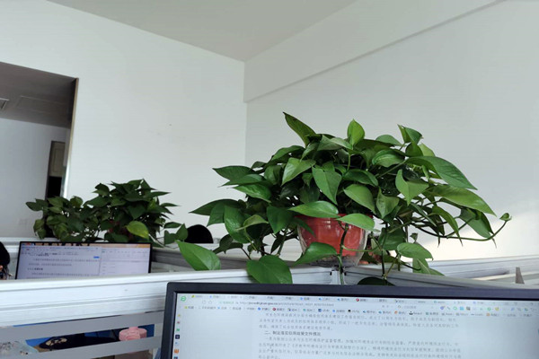 濟(jì)南市生態(tài)環(huán)境局市中分局多措并舉落實(shí)環(huán)境監(jiān)測(cè)管理辦法！