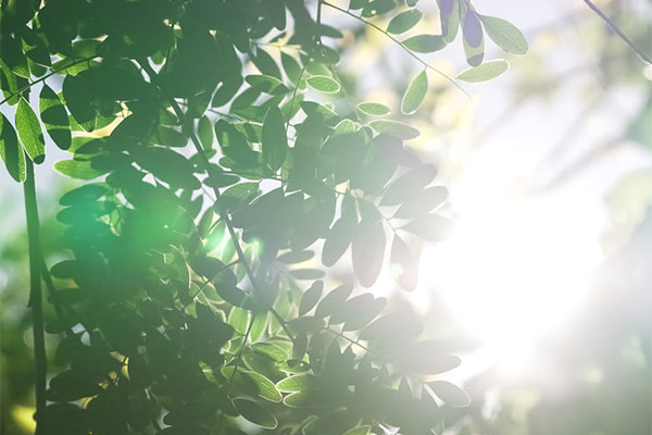 環(huán)境監(jiān)測系統(tǒng)